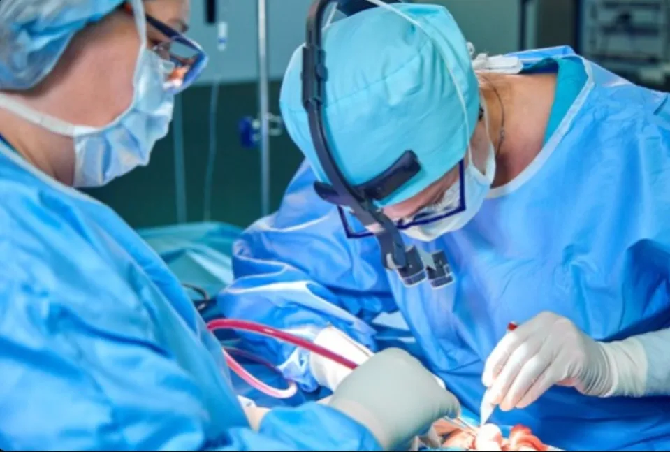 Japão realiza primeira cirurgia cardíaca com células-tronco